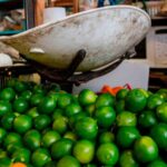 En pie organización de la FNSM 2022