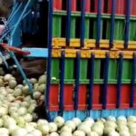 AMLO destaca que México es uno de los tres países con menor desempleo