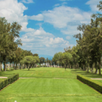 Consejo Científico de Cofepris no volverá a ser un grupo de opinión a modo o de pago de favores: Svarch Pérez