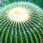 Juez ordena liberar a Juan Carlos García Rivera, operador de Pegasus