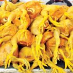 El Jugador que Estalla en Valor: El Representante de Gilberto Mora Desvela el Secreto del Precio Exorbitante del Nuevo Tesoro de Xolos