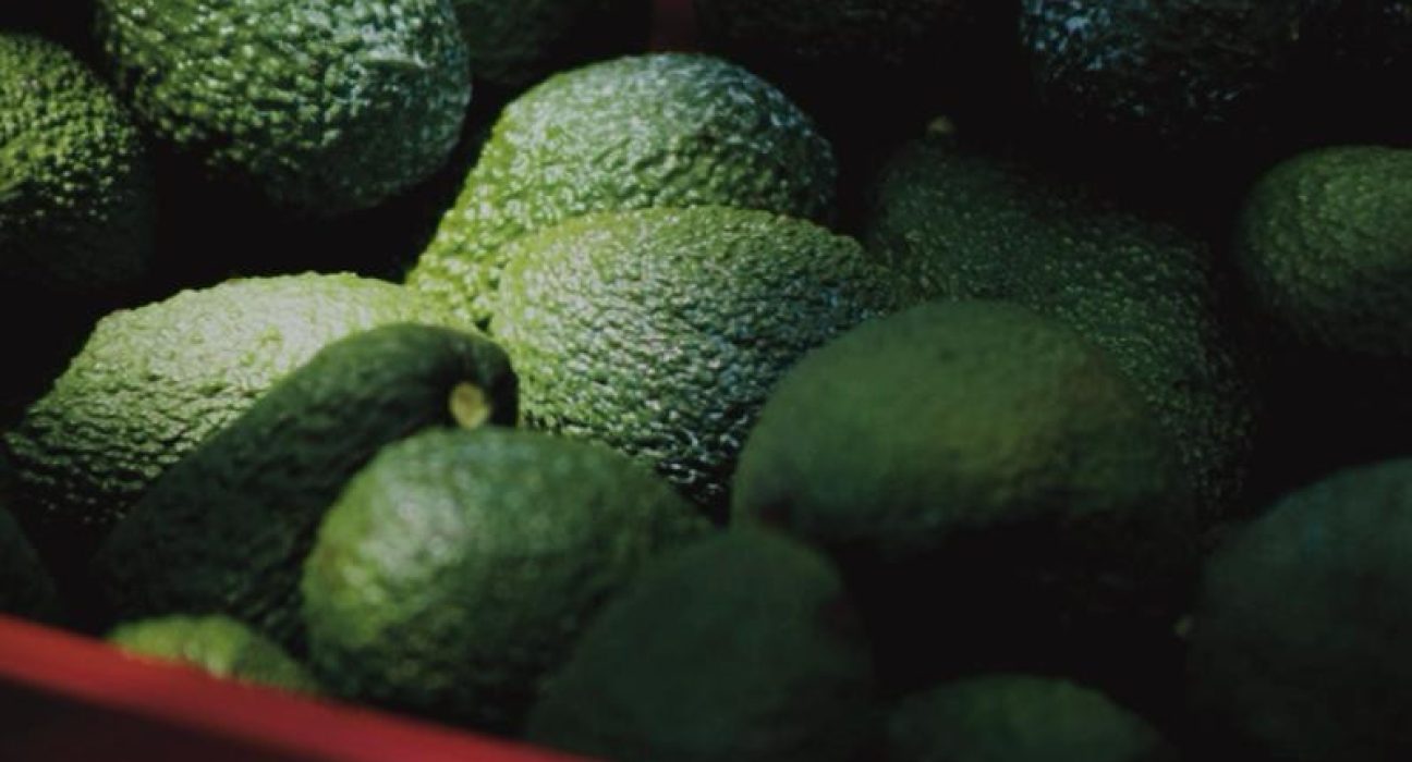 El crimen organizado sangra el 'oro verde' de México: extorsión a productores de limón y aguacate supera los 10 mil millones al año