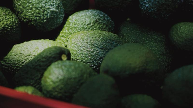 El crimen organizado sangra el 'oro verde' de México: extorsión a productores de limón y aguacate supera los 10 mil millones al año